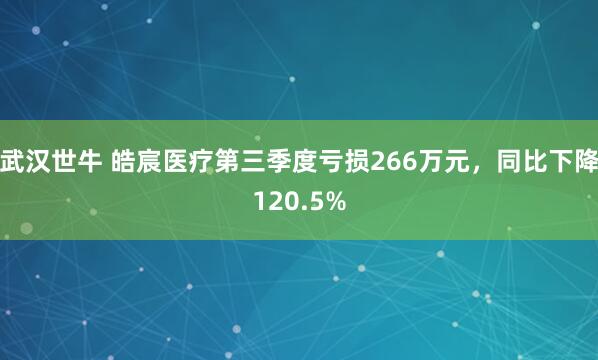 武汉世牛 皓宸医疗第三季度亏损266万元，同比下降120.5%