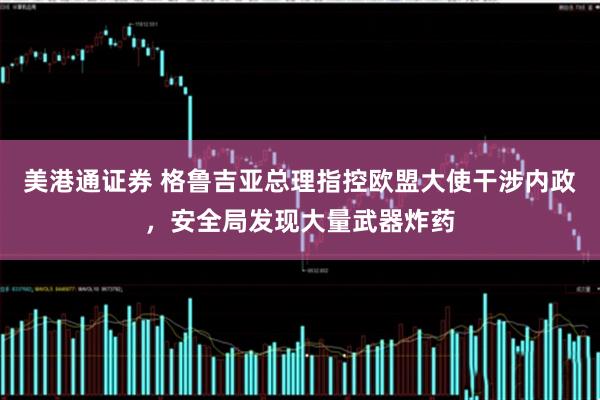 美港通证券 格鲁吉亚总理指控欧盟大使干涉内政，安全局发现大量武器炸药