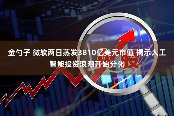 金勺子 微软两日蒸发3810亿美元市值 揭示人工智能投资浪潮开始分化