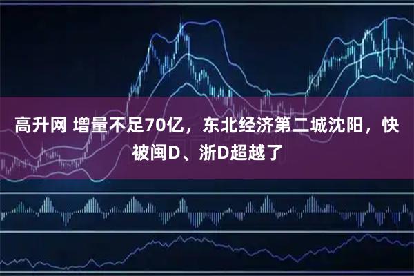 高升网 增量不足70亿，东北经济第二城沈阳，快被闽D、浙D超越了