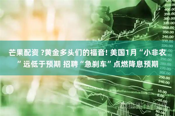 芒果配资 ?黄金多头们的福音! 美国1月“小非农”远低于预期 招聘“急刹车”点燃降息预期